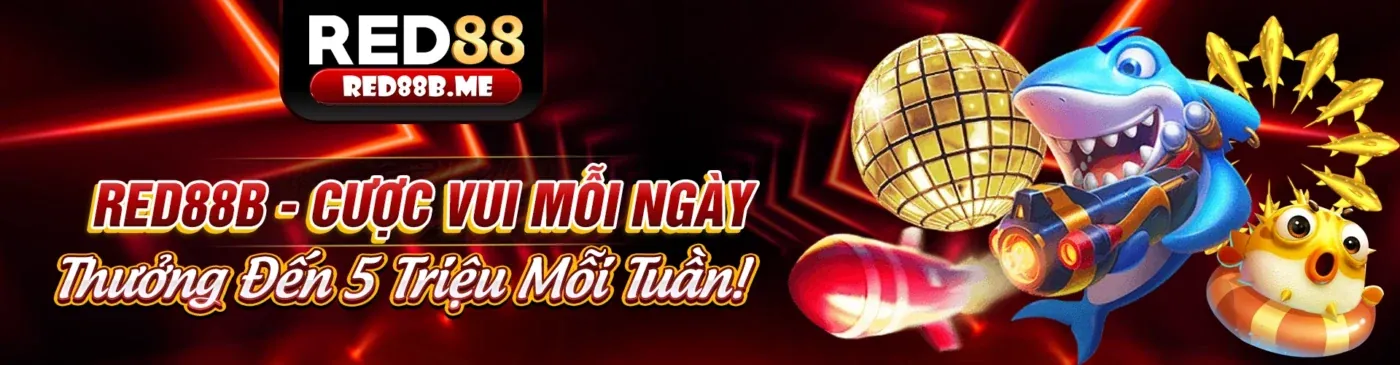 Hình ảnh nền tảng cá cược trực tuyến OK838